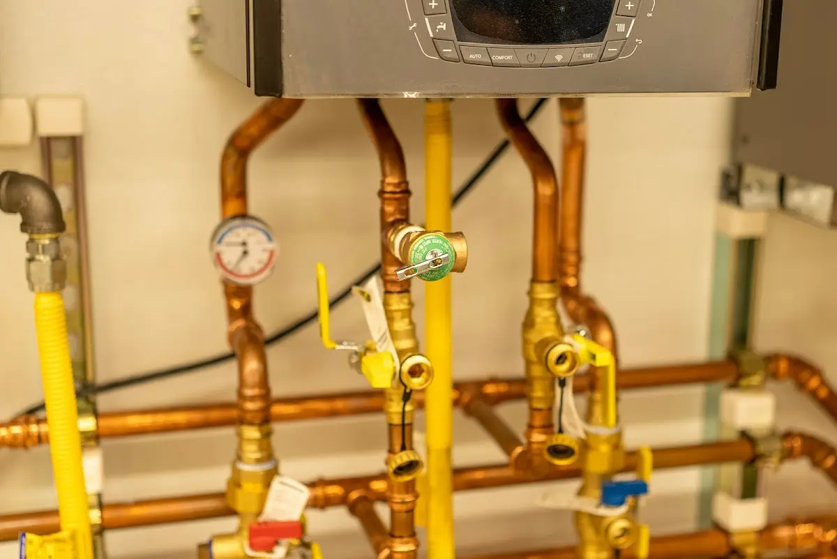 Licensed technician providing Emergency Plumbing for a homeowner in Lodi